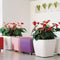 LECHUZA QUADRO Premium LS 50 - Plantenbak - met uitneembare binnenbak - met bewateringssysteem - ALL-IN-ONE set met LECHUZA-PON - antraciet metallic