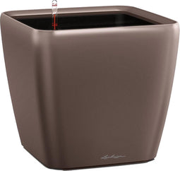 LECHUZA QUADRO PREMIUM - UITVERKOCHT