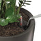 LECHUZA RONDO 40 - Plantenbak - ALL-IN-ONE set - antraciet metallic