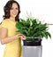 LECHUZA RONDO PREMIUM 32 - Plantenbak - met uitneembare binnenbak - met bewateringssysteem - ALL-IN-ONE set met LECHUZA-PON - zwart hoogglans