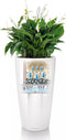 Lechuza - RONDO PREMIUM 32 - Plantenbak - met uitneembare binnenbak - met bewateringssysteem - ALL-IN-ONE set met LECHUZA-PON - zilver metallic