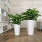 Lechuza - RONDO PREMIUM 32 - Plantenbak - met uitneembare binnenbak - met bewateringssysteem - ALL-IN-ONE set met LECHUZA-PON - zilver metallic