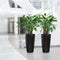 LECHUZA RONDO PREMIUM 32 - Plantenbak - met uitneembare binnenbak - met bewateringssysteem - ALL-IN-ONE set met LECHUZA-PON - zwart hoogglans