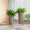 LECHUZA RONDO PREMIUM 40 - Plantenbak - met uitneembare binnenbak - met bewateringssysteem - ALL-IN-ONE set met LECHUZA-PON - scharlakenrood hoogglans