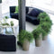 LECHUZA RONDO PREMIUM 40 - Plantenbak - met uitneembare binnenbak - met bewateringssysteem - ALL-IN-ONE set met LECHUZA-PON - scharlakenrood hoogglans