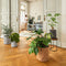 LECHUZA TRENDCOVER 23 VILT - Plantenbak - met uitneembare binnenbak - met bewateringssysteem - ALL-IN-ONE set met LECHUZA-PON - dark grey
