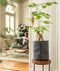 LECHUZA TRENDCOVER 23 VILT - Plantenbak - met uitneembare binnenbak - met bewateringssysteem - ALL-IN-ONE set met LECHUZA-PON - dark grey