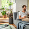 LECHUZA TRENDCOVER 32 KURK - Plantenbak - met uitneembare binnenbak - met bewateringssysteem - ALL-IN-ONE set met LECHUZA-PON - light natural
