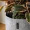 LECHUZA TRENDCOVER 32 VILT - Plantenbak - met uitneembare binnenbak - met bewateringssysteem - ALL-IN-ONE set met LECHUZA-PON - dark grey