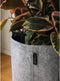 LECHUZA TRENDCOVER 32 VILT - Plantenbak - met uitneembare binnenbak - met bewateringssysteem - ALL-IN-ONE set met LECHUZA-PON - light grey