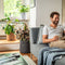 LECHUZA TRENDCOVER 32 VILT - Plantenbak - met uitneembare binnenbak - met bewateringssysteem - ALL-IN-ONE set met LECHUZA-PON - dark grey