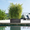 LECHUZA TRIO COTTAGE 30 - Plantenbak - met uitneembare binnenbakken - met bewateringssysteem - ALL-IN-ONE set met LECHUZA-PON - wit