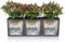 LECHUZA TRIO COTTAGE 30 - Plantenbak - met uitneembare binnenbakken - met bewateringssysteem - ALL-IN-ONE set met LECHUZA-PON - wit
