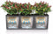 LECHUZA TRIO COTTAGE 40 - Plantenbak - met uitneembare binnenbakken - met bewateringssysteem - ALL-IN-ONE set met LECHUZA-PON - licht grijs