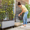 LECHUZA TRIO STONE 30 - Plantenbak - met uitneembare binnenbakken - met bewateringssysteem - ALL-IN-ONE set met LECHUZA-PON - grafietzwart