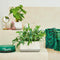 LECHUZA YULA planttas - Plantenbak - ALL-IN-ONE set - satijnwit/grijs