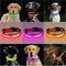 LED halsband hond extra large zwart