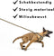 LED lichtgevende Halsband XS 28 - 38cm - Kat en Hond - Sterk licht - Usb Oplaadbaar - Zwart - Inclusief oplader