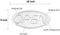LED Neon Open Sign - Protecu 3D Art Open Neon Sign | USB Powered Neon Lights LED Signs for Wall Deco