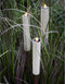 LED solar kaars fakkel