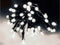LED-verlichting - 320 LED - 24 meter - wit