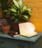 LEDR® Book Lamp Walnut Brown M - 16,5 x 12,5 cm - Oplaadbaar - Inclusief USB kabel - Waterdicht 100% Rycyclebaar Papier - Boek Lamp