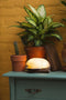 LEDR® Book Lamp Walnut Brown S - 12,5 x 9 cm - Oplaadbaar - Inclusief USB kabel - Waterdicht 100% Rycyclebaar Papier - Boek Lamp