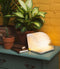 LEDR® Book Lamp Walnut Brown S - 12,5 x 9 cm - Oplaadbaar - Inclusief USB kabel - Waterdicht 100% Rycyclebaar Papier - Boek Lamp