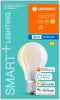 LEDVANCE Klassieke lampvorm met filament en Bluetooth technologie