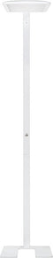 LEDVANCE LED armatuur FLOOR STANDING HOME OFFICE