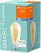 LEDVANCE LED lamp - Lampvoet: E27 - Warm wit - 24-- K - 6 W - SMART+ Filament Edison Dimmable