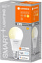 LEDVANCE SMART+ WIFI LED lamp, matte look, 9,5W, 1-55lm