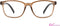 Leesbril INY lucky G65500 bruin-zwart +1.00