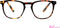 Leesbril INY Tailor G64900 havanna +1.50