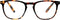 Leesbril INY Tailor G64900 havanna +2.50
