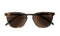 Leeszonnebril INY Playa G60400 havanna +2.00