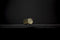 LEFF amsterdam - Tube Audio - Speaker - Draagbaar - Bluetooth - Goud