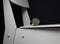 LEFF amsterdam - Tube Audio - Speaker - Draagbaar - Bluetooth - Goud