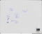 Legamaster UNITE PLUS whiteboard 120x150cm