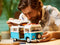 LEGO - 10279 - Volkswagen T2 Camper Van