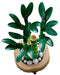 LEGO® Botanicals Bamboe - Plantendecoratie - 10344