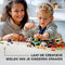 LEGO Classic Stenen en Wielen - 11014