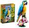 LEGO Creator 3in1 Exotische Papegaai - Kikker - Vis Dieren Speelgoed Set voor Kinderen - 31136