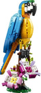 LEGO Creator 3in1 Exotische Papegaai - Kikker - Vis Dieren Speelgoed Set voor Kinderen - 31136