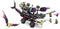 LEGO DREAMZzz Nachtmerrie Haaienschip Piratenschip Speelgoed - 71469