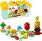 LEGO DUPLO Mijn eerste Biotuintje Bouwset voor Peuters - 10984