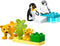 LEGO DUPLO Stad Families van wilde dieren: pinguïns en leeuwen - 10442