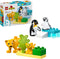 LEGO DUPLO Stad Families van wilde dieren: pinguïns en leeuwen - 10442