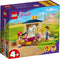 LEGO Friends Ponywasstal - 41696