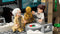 LEGO Star Wars Rebellenbasis op Yavin 4 - 75365